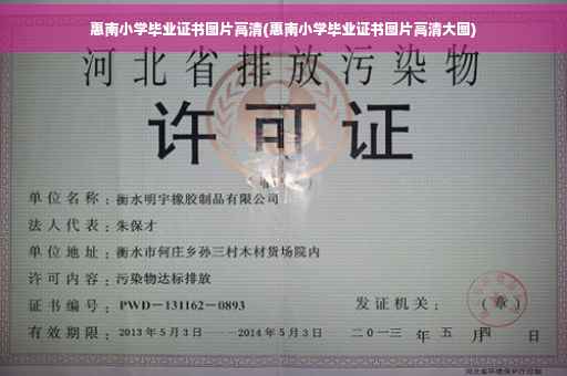 惠南小学毕业证书图片高清(惠南小学毕业证书图片高清大图)