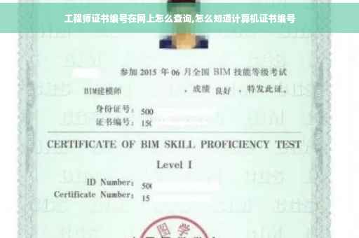 工程师证书编号在网上怎么查询,怎么知道计算机证书编号