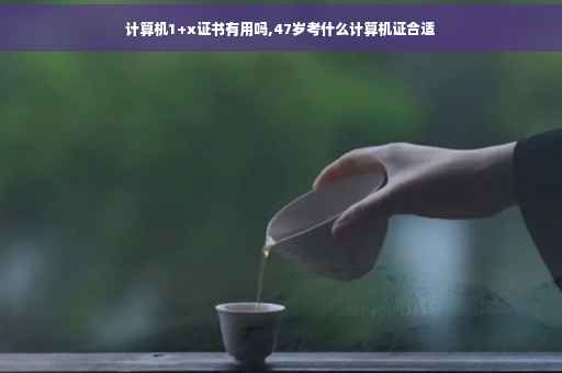 计算机1+x证书有用吗,47岁考什么计算机证合适