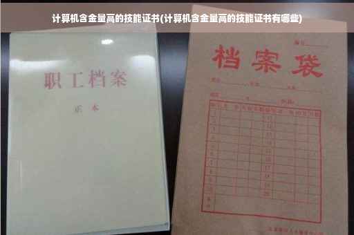计算机含金量高的技能证书(计算机含金量高的技能证书有哪些)