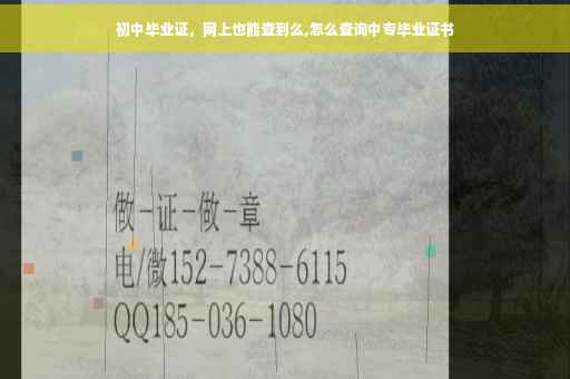 初中毕业证，网上也能查到么,怎么查询中专毕业证书