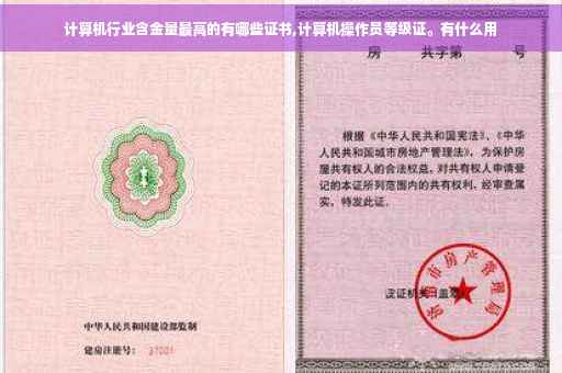 计算机行业含金量最高的有哪些证书,计算机操作员等级证。有什么用