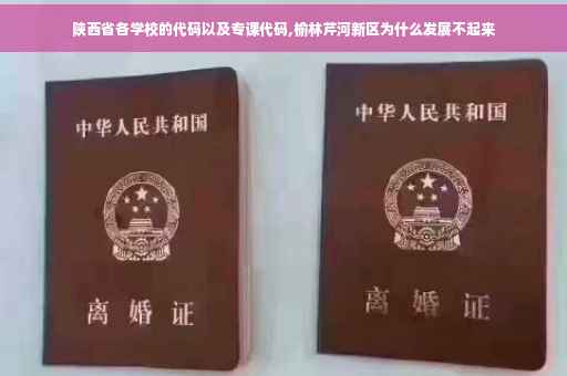 陕西省各学校的代码以及专课代码,榆林芹河新区为什么发展不起来 陕西省各学校的代码以及专课代码,榆林芹河新区为什么发展不起来