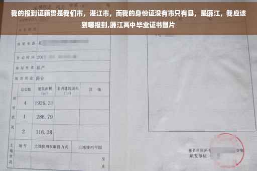 我的报到证籍贯是我们市，湛江市，而我的身份证没有市只有县，是廉江，我应该到哪报到,廉江高中毕业证书图片
