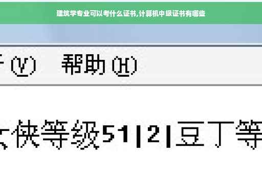 建筑学专业可以考什么证书,计算机中级证书有哪些