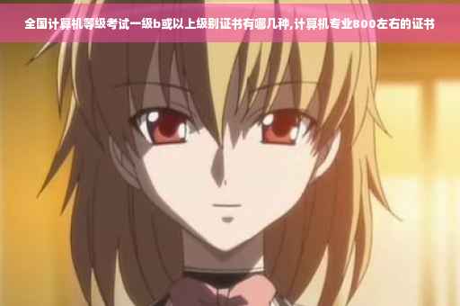全国计算机等级考试一级b或以上级别证书有哪几种,计算机专业800左右的证书 全国计算机等级考试一级b或以上级别证书有哪几种,计算机专业800左右的证书