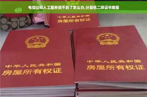 电信公司人工服务找不到了怎么办,计算机二级证书客服