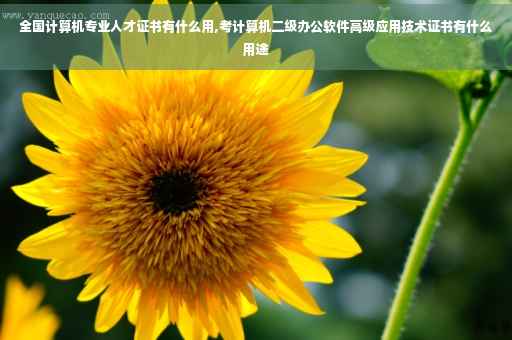 全国计算机专业人才证书有什么用,考计算机二级办公软件高级应用技术证书有什么用途