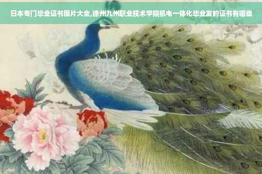 日本专门毕业证书图片大全,徐州九州职业技术学院机电一体化毕业发的证书有哪些
