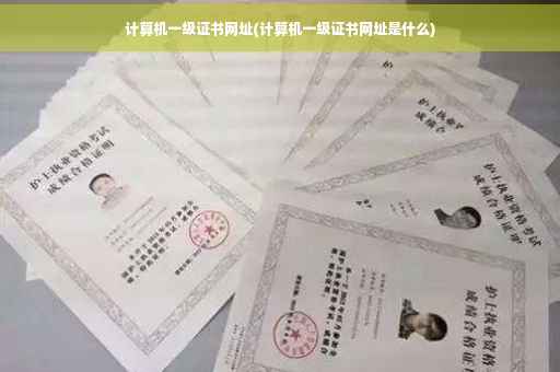 计算机一级证书网址(计算机一级证书网址是什么)