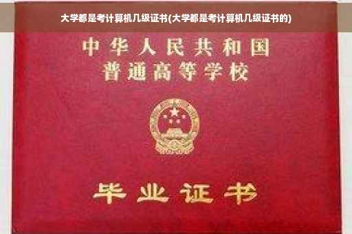 大学都是考计算机几级证书(大学都是考计算机几级证书的)