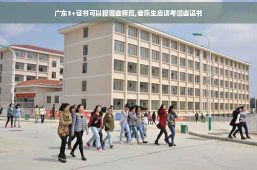 广东3+证书可以报哪些师范,音乐生应该考哪些证书