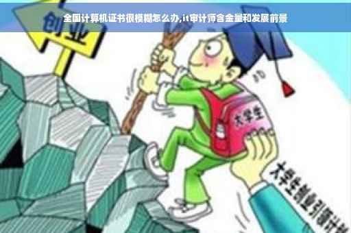 全国计算机证书很模糊怎么办,it审计师含金量和发展前景