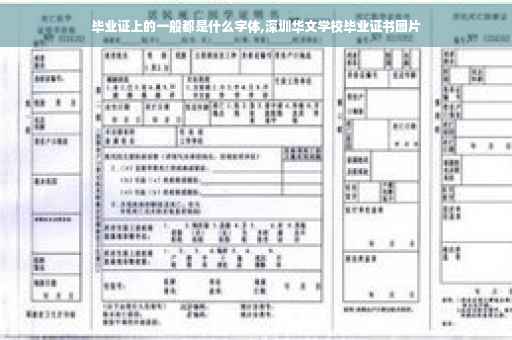 毕业证上的一般都是什么字体,深圳华文学校毕业证书图片