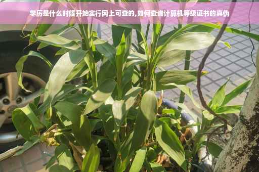 学历是什么时候开始实行网上可查的,如何查询计算机等级证书的真伪