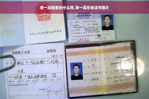 洛一高宿舍长什么样,洛一高毕业证书图片