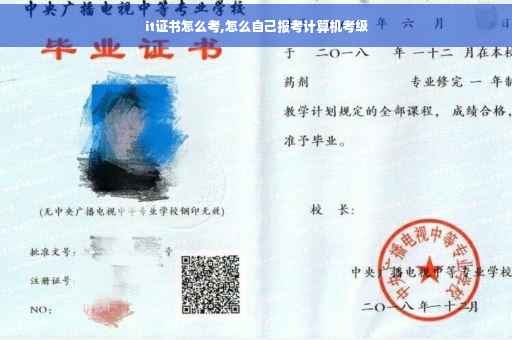 it证书怎么考,怎么自己报考计算机考级