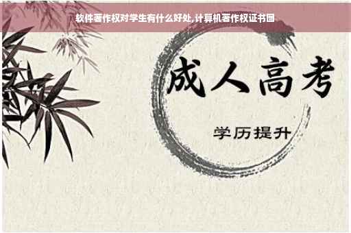 软件著作权对学生有什么好处,计算机著作权证书图