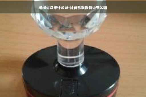 编程可以考什么证-计算机编程有证书么嘛
