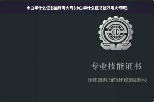 小白学什么证书最好考大专(小白学什么证书最好考大专呢)