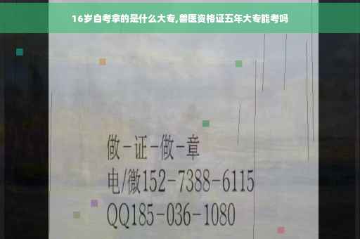 16岁自考拿的是什么大专,兽医资格证五年大专能考吗