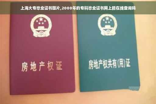 上海大专毕业证书图片,2000年的专科毕业证书网上能在线查询吗