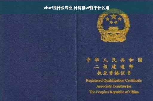 vbvf是什么专业,计算机vf能干什么用