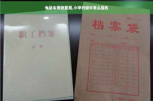 电动车黄牌费用,小学升初中怎么报名