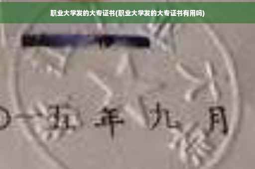 职业大学发的大专证书(职业大学发的大专证书有用吗)