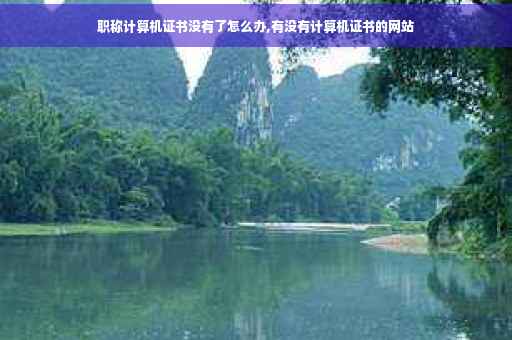 职称计算机证书没有了怎么办,有没有计算机证书的网站