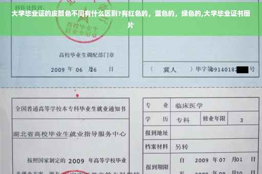 大学毕业证的皮颜色不同有什么区别?有红色的，蓝色的，绿色的,大学毕业证书图片