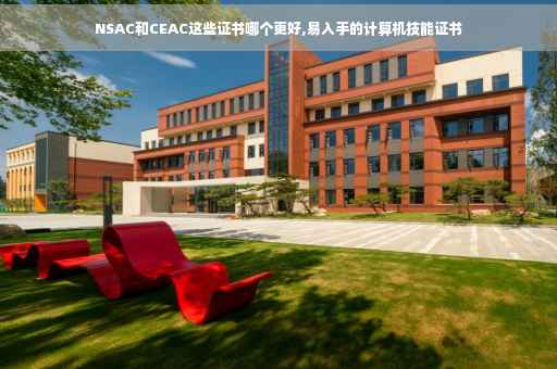 NSAC和CEAC这些证书哪个更好,易入手的计算机技能证书