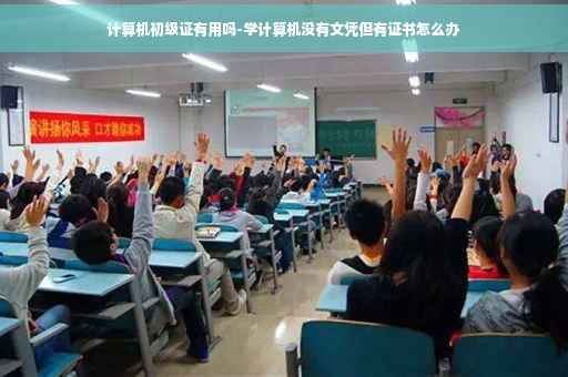 计算机初级证有用吗-学计算机没有文凭但有证书怎么办
