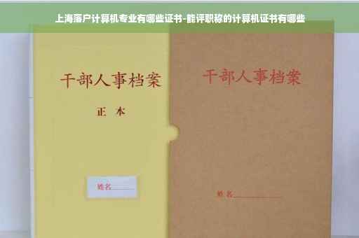 上海落户计算机专业有哪些证书-能评职称的计算机证书有哪些