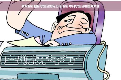 初级会计报名毕业证如何上传,会计本科毕业证书图片大全