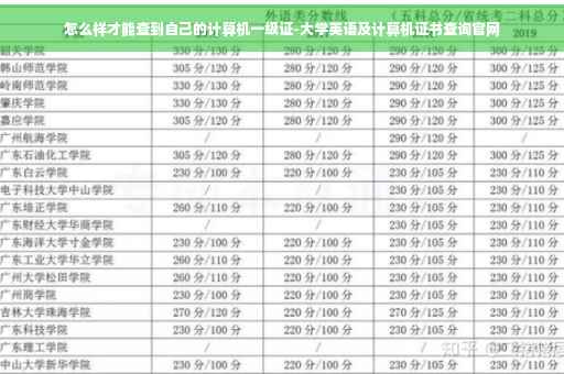 怎么样才能查到自己的计算机一级证-大学英语及计算机证书查询官网