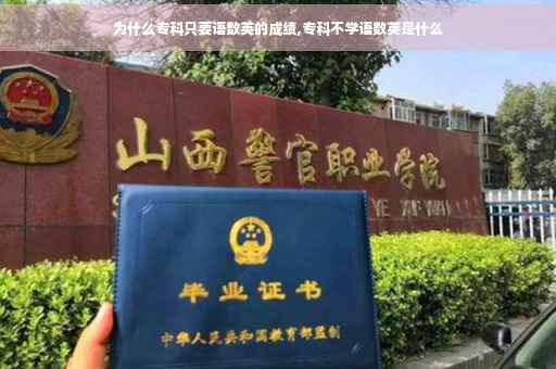为什么专科只要语数英的成绩,专科不学语数英是什么