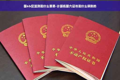 国6b仅监测是什么意思-计算机国六证书是什么级别的