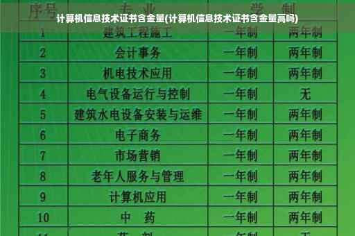 计算机信息技术证书含金量(计算机信息技术证书含金量高吗)