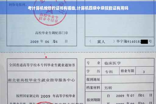 考计算机维修的证书有哪些,计算机四级中级技能证有用吗