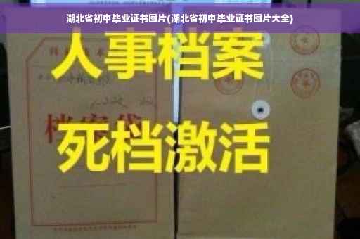 湖北省初中毕业证书图片(湖北省初中毕业证书图片大全)