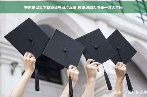 东京造型大学毕业证书图片高清,东京造型大学是一流大学吗