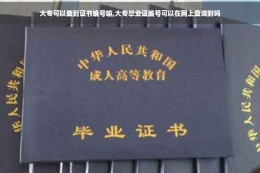 大专可以查到证书编号嘛,大专毕业证编号可以在网上查询到吗