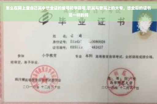 怎么在网上查自己高中毕业证的编号和学籍号,职高与普高上的大专，毕业后的证书是一样的吗
