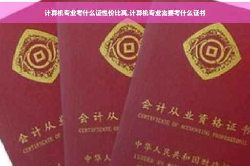 计算机专业考什么证性价比高,计算机专业需要考什么证书