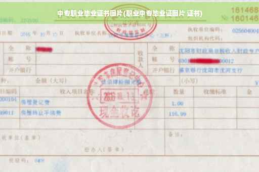 中专职业毕业证书图片(职业中专毕业证图片 证书)