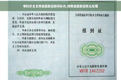 专科毕业生就业报到证如何补办,待就业报到证怎么处理