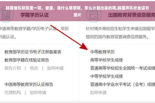 韩国音乐获奖里一项，音源，是什么意思啊，怎么计算出来的呢,韩国声乐毕业证书图片
