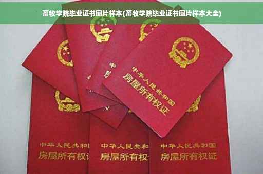 畜牧学院毕业证书图片样本(畜牧学院毕业证书图片样本大全)