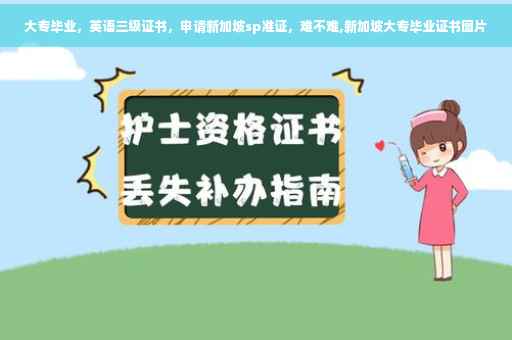 大专毕业，英语三级证书，申请新加坡sp准证，难不难,新加坡大专毕业证书图片